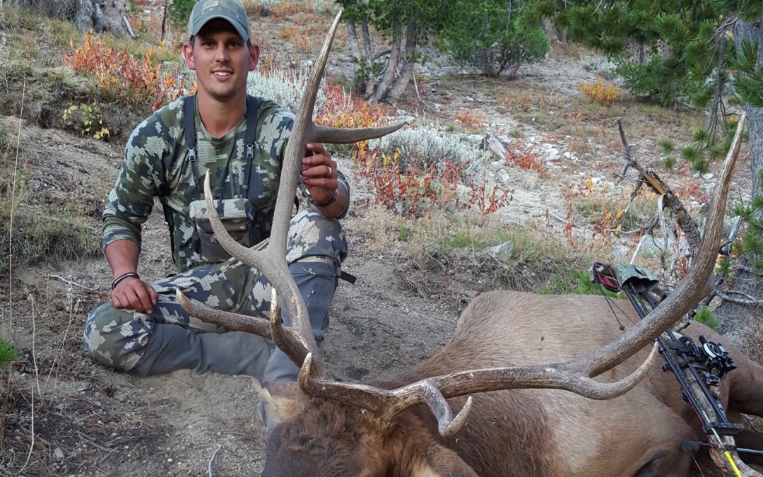 Oregon Backcountry Bull